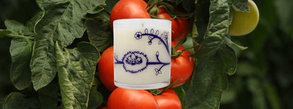 Join the latest candle craze...Tomatoes!